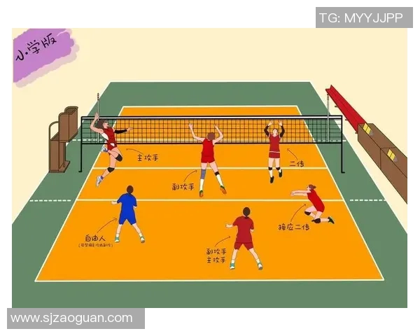 上海排球队的战术控制与队伍发展深度剖析 上海排球队的战术控制与队伍发展深度剖析