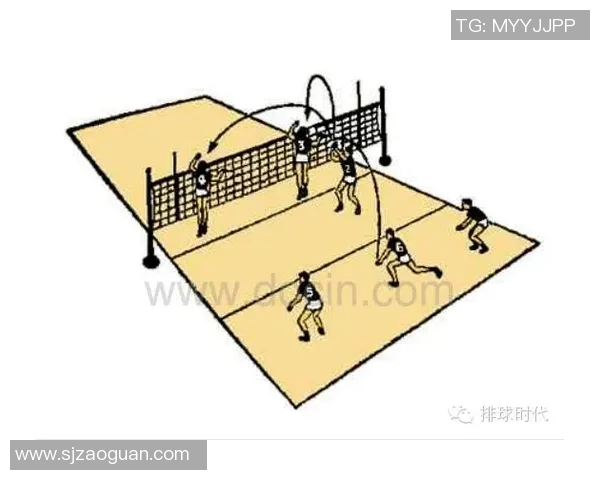 排球战术:上海排球队的控制体系 排球战术:上海排球队的控制体系