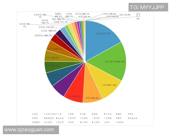 武汉排球队在联合会杯中的技术表现分析与点评