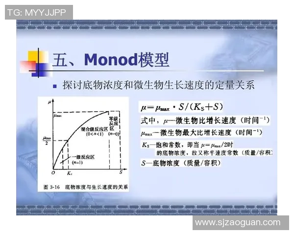 足球明星的职业生涯与服役年龄的关系探讨及其对运动生涯的影响分析 足球明星的职业生涯与服役年龄的关系探讨及其对运动生涯的影响分析