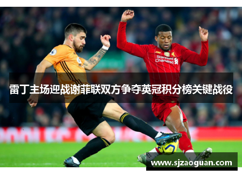 雷丁主场迎战谢菲联双方争夺英冠积分榜关键战役